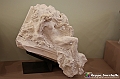 VBS_5047 - Liberty - Torino Capitale